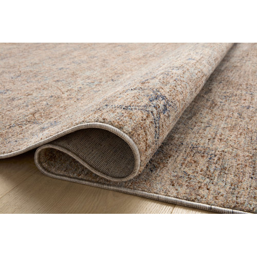 Angela Rose x Loloi Blake Taupe / Blue Area Rug & Reviews Wayfair